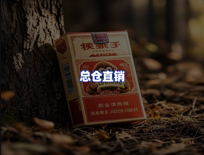 专业团队